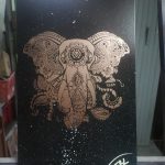 IMG_20241020_181137